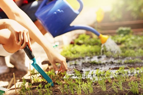 Operative trimming a hedge with clippers, close-up of hands and hedge
