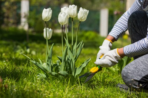 Agent discussing accessible service arrangements with a homeowner before hedge trimming