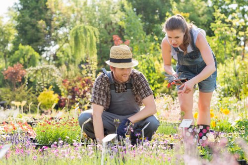 Transform your garden with Hedge Trimming Beckenham