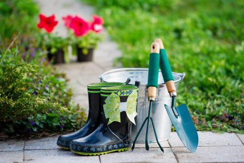 Professionally mowed lawn in Beckenham