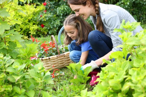Eco-friendly hedge trimming practices