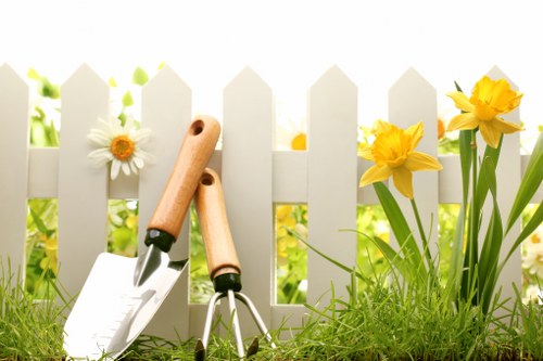 Choosing the right tree service provider