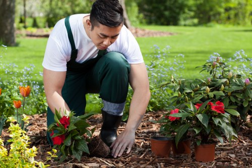 Professional hedge trimming operatives shaping a suburban hedge in Beckenham